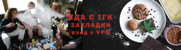 гашик Ельня