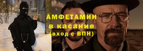 гашик Ельня