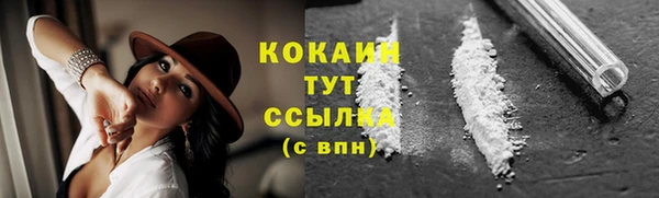 гашик Ельня
