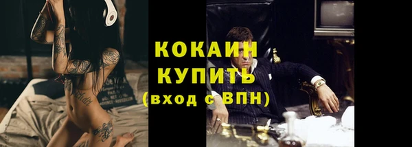 гашик Ельня