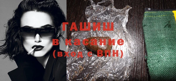 гашик Ельня