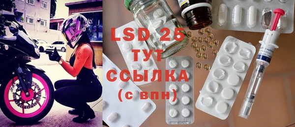 гашик Елизово