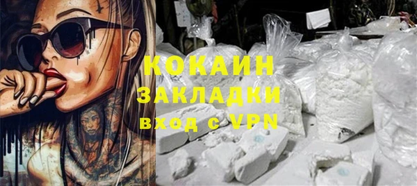 гашик Ельня