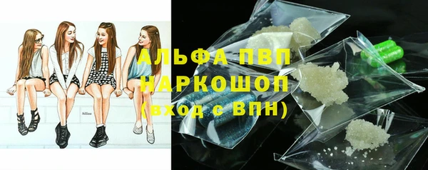 прущие крисы Пересвет