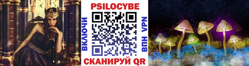 как найти закладки  Сальск  Галлюциногенные грибы Psilocybine cubensis 