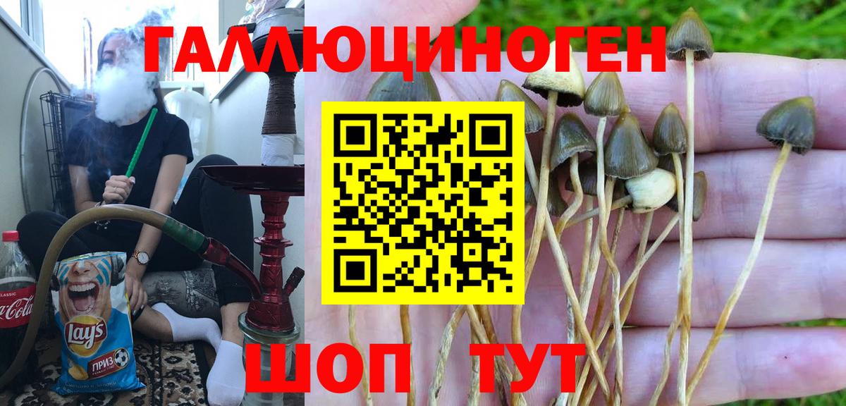 Сальск  Галлюциногенные грибы мухоморы  Галлюциногенные грибы мицелий  Вход с VPN 
