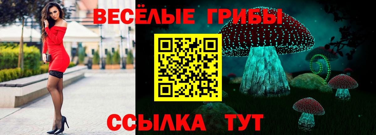 Псилоцибиновые грибы GOLDEN TEACHER Сальск